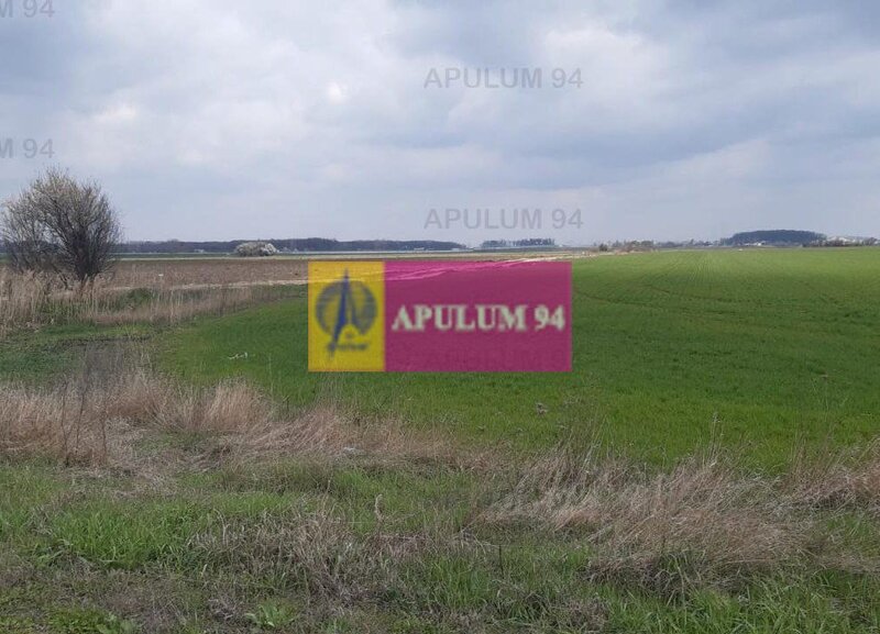 Teren Intravilan  cu front stradal la un Drum Principal langa Bucuresti